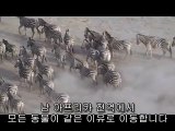 [서초오피 하녀]아찔한밤 서초오피정보