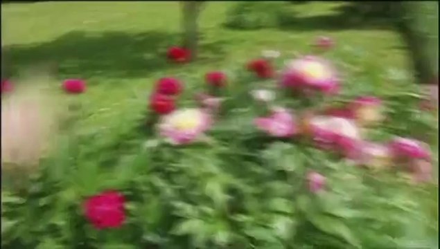 Je lui dis tout à Hollande, mais il n'écoute pas... , confie Arnaud Montebourg