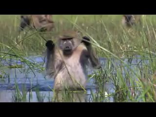 [역삼오피 베니스]아찔한밤 역삼오피정보