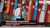 Erdoğan Sadece Davutoğlu ve Babacan'ın İsmini Andı