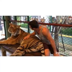 Download Video: Luke Rockhold agarra nos testículos de tigre