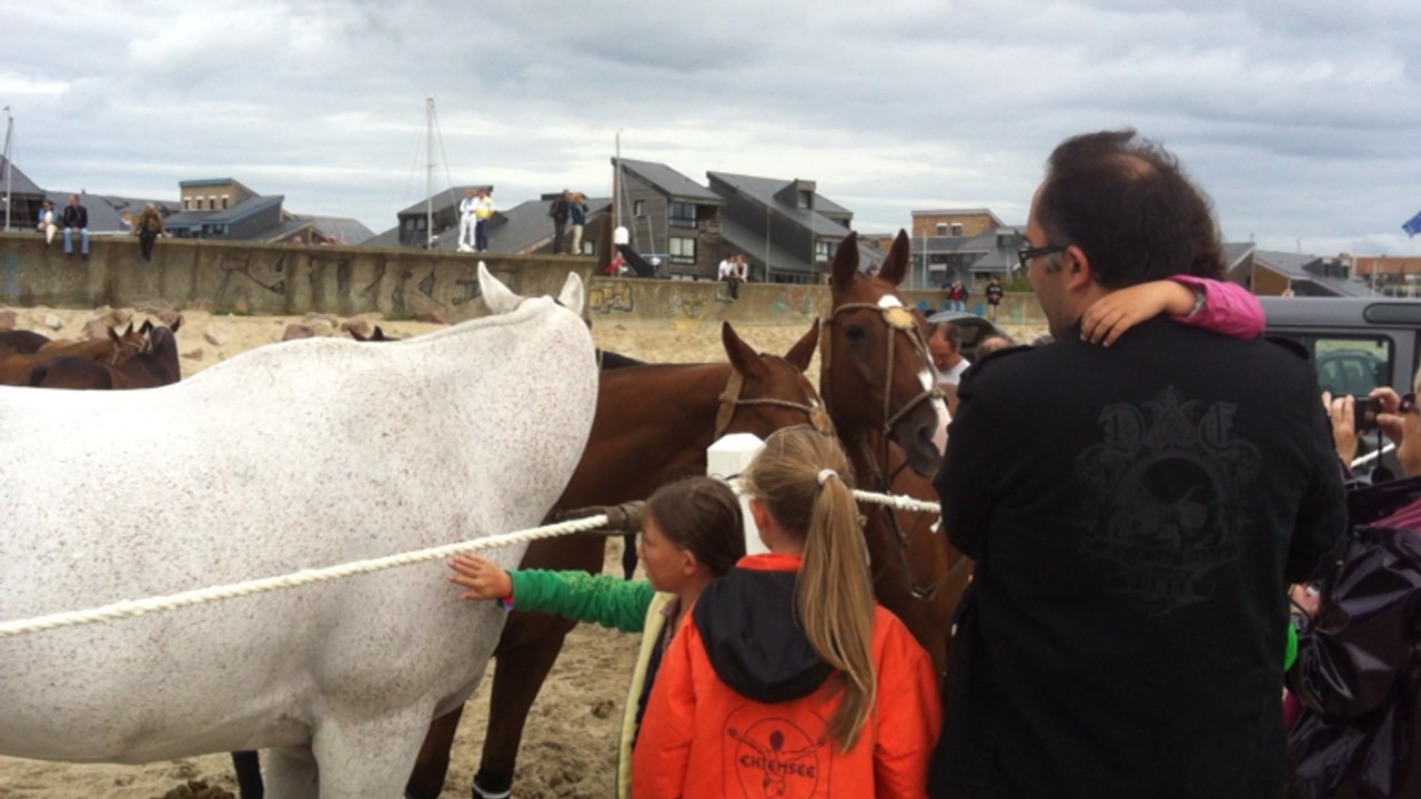 Entraînement de polo sur la plage