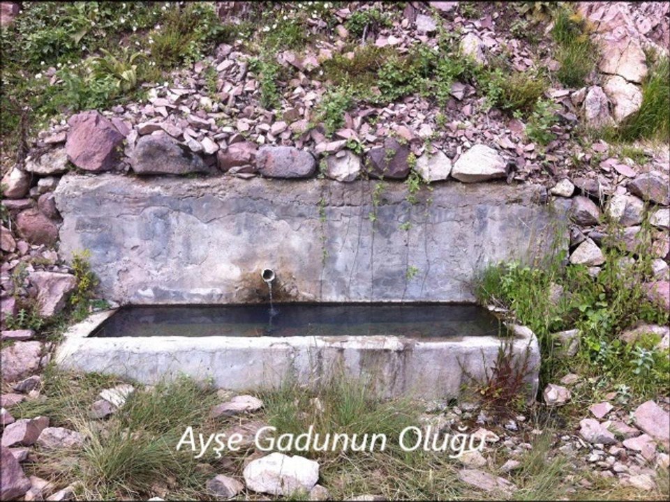 Çamlıdere Tatlak Köyü Yayla Göçü 2