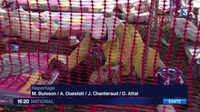 Ebola au Sierra Leone : Air France suspend ses vols vers Freetown