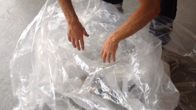 Des frelons asiatiques pris par les pompiers