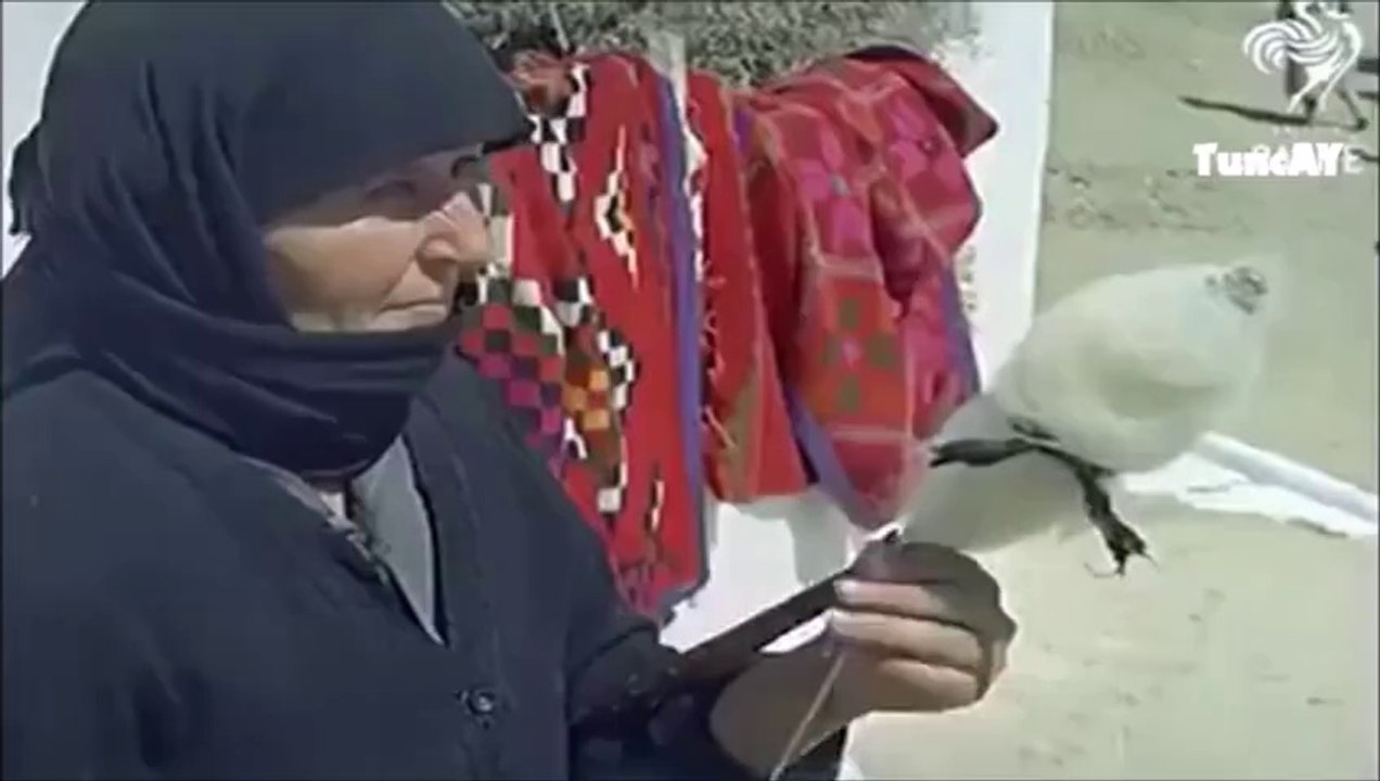 Bir zamanlar köyde yasananlar(yaraladi bu ask beni neset ertas)