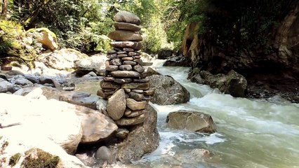 art brut à Vevey en Suisse- Diorama/Cameleon