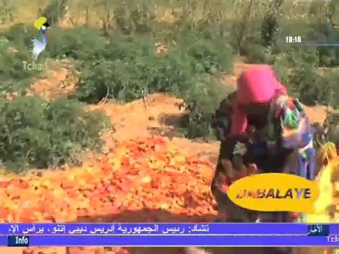 DABALAYE FRANçAIS DU 27 AOUT 2014 SUR TOL