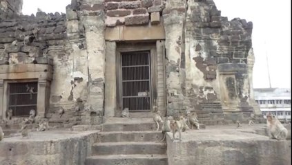 2014_Thaïlande-Lopburi