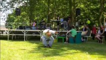 demo resumé tai chi  qi gong