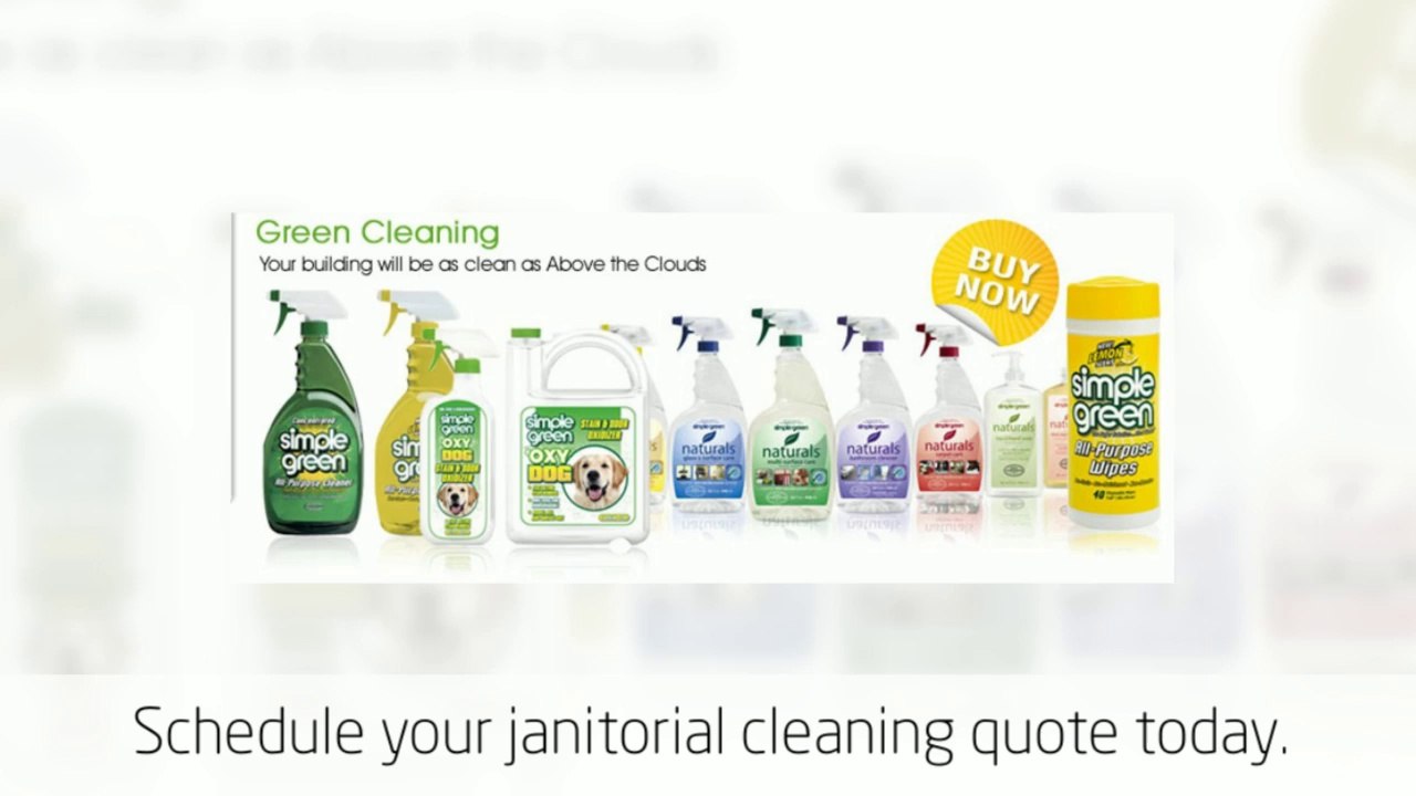 Minneapolis Cleaning Service