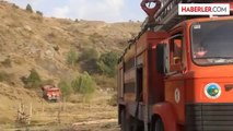 Sivas'ta ağaçlık alanda yangın