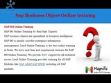 Online Sap Business Object training In Austrlia,SouthAfrica