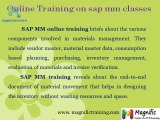 Online Sap MM Classes & Training In Chennai
