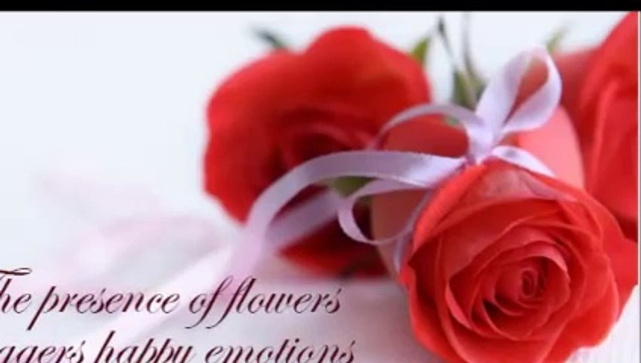 Sarnia Flowers