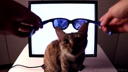 ایسی ایل۔سی۔ڈی۔ تیار کریں ۔۔۔۔جس میں ویڈیو صرف آپ کو نظر آئے۔۔۔