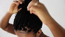Quick Twists Senegalese / Rope Twists On Your Own Natural Hair Tutorial Part 4 of 8