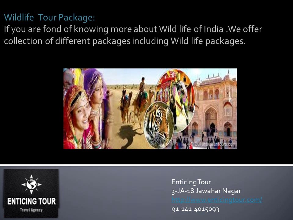 Jaipur Travel Agent