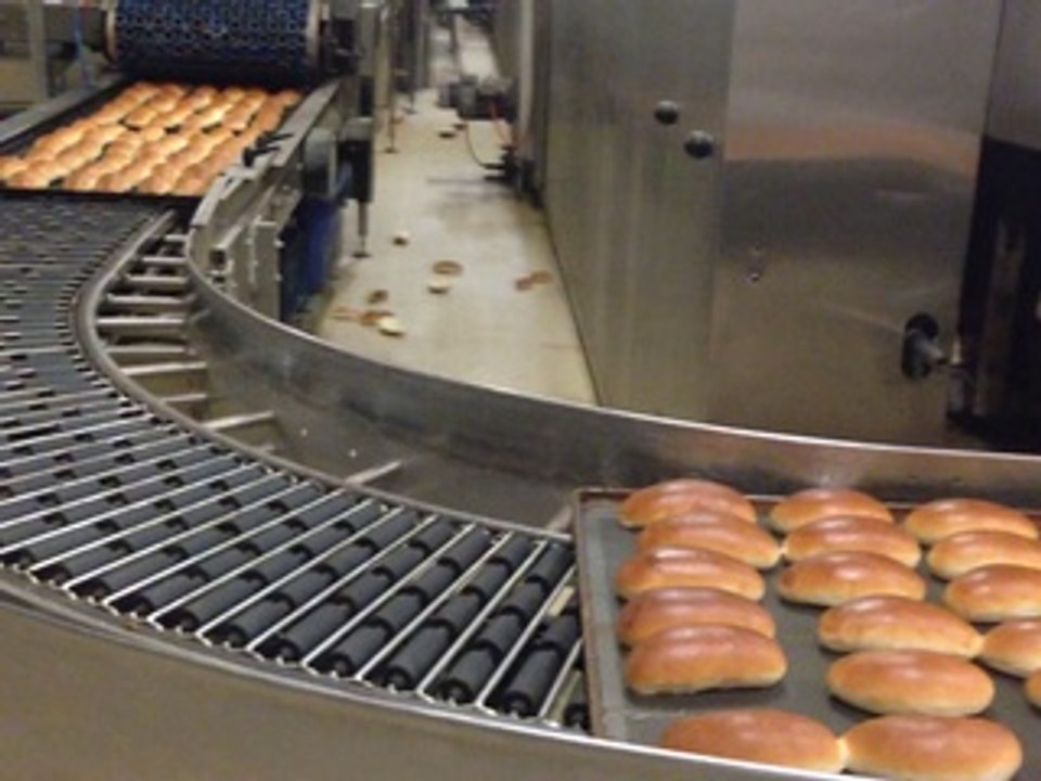 used bakery industry Heuft Vulkan Tunneloven Thermo oil