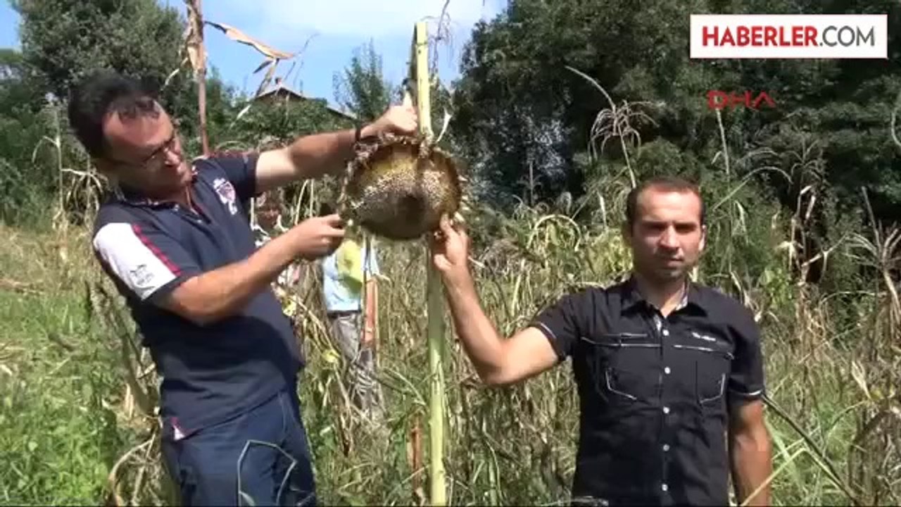 Göçükten Kurtulan İşçilere İşsizlik Maaşı
