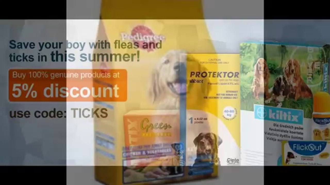 Buy Dog Products Online in Delhi & NCR @ Heavy Discount