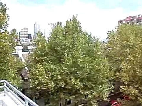 chilli blue, auberge de jeunesse