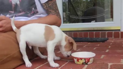 Biri Yer Biri Bakar Kıyamet Bundan Kopar