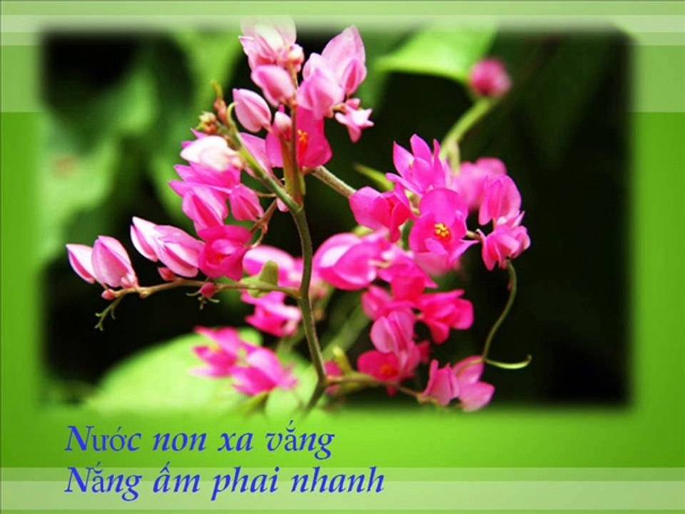 Em Nhớ Gì Không, Kỷ Niệm về trường Trung Tâm Giáo Dục Hồng Bàng, show Caroline Thanh Hương