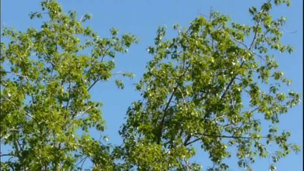 Russian militray planes over a sleeping city!