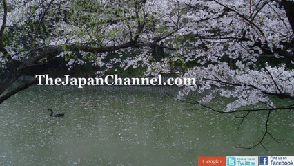 Crunchy Grapefruit Yumminess in Japan!