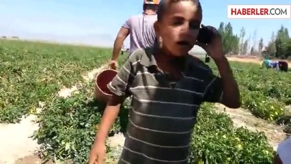 Sevdiği Kızı Almak İçin Her Yolu Deneyen Köylü Çocuk