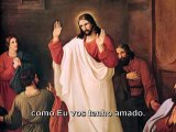 Amor Perfeito - PAIVA NETTO - RELIGIÃO DE DEUS - ECUMENISMO - BRASIL