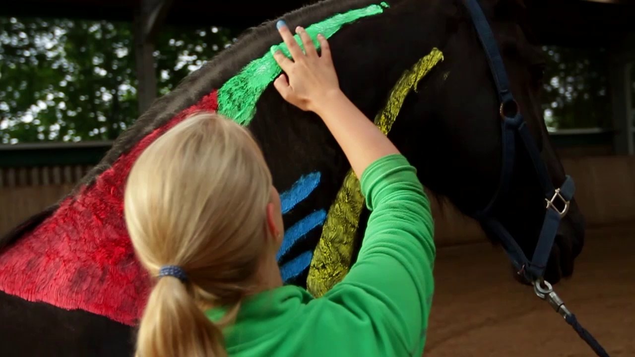 Osteopathische pferdetherapie nach welter böller