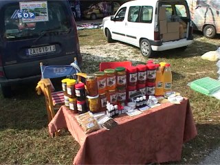 Sabor Slatina, 28. avgust 2014. (RTV Bor)