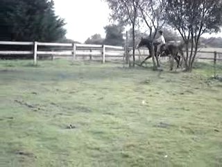 Dobé-Manon-cross 2