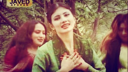 Nazia Iqbal - Gora Zama Meenai Na