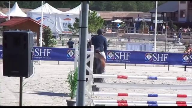 vandal du tyria, 5 ans D, sologn'pony 2014 (22)