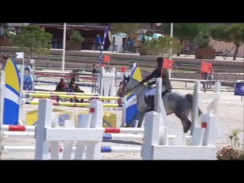 voulouz mad, 5 ans D, sologn'pony 2014 (22)