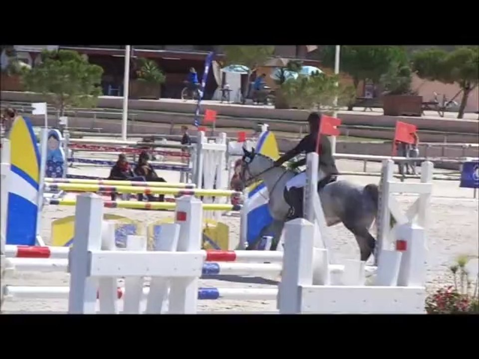 voulouz mad, 5 ans D, sologn'pony 2014 (22)