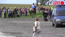 Jeux equestres mondiaux : l'émir n'aligne pas le cheval élevé par Laurence Cornichet à l'épreuve d'endurance