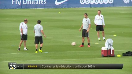 Zlatan de retour
