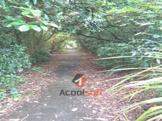 Ram-Dunedin-Sports-and-small-excursion-August2014