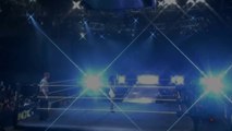 NXT: 08/28/14 - JoJo announcing Bull Dempsey vs Angelo Dawkins