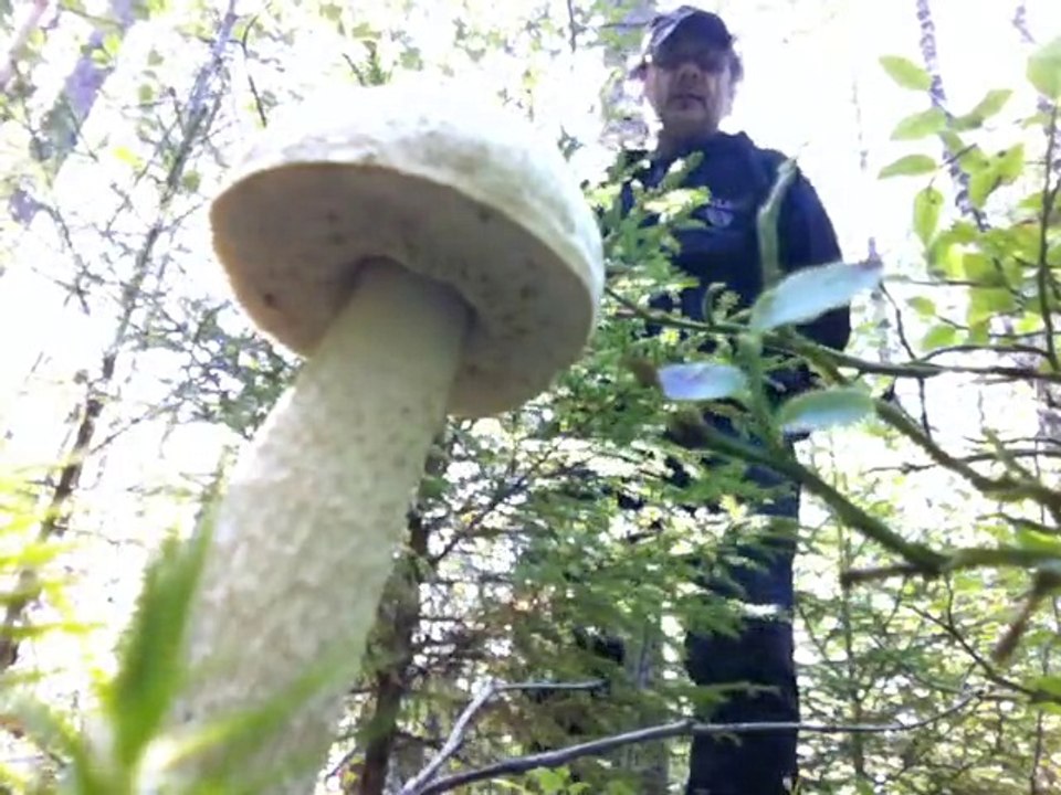 Aug 28 2014 1