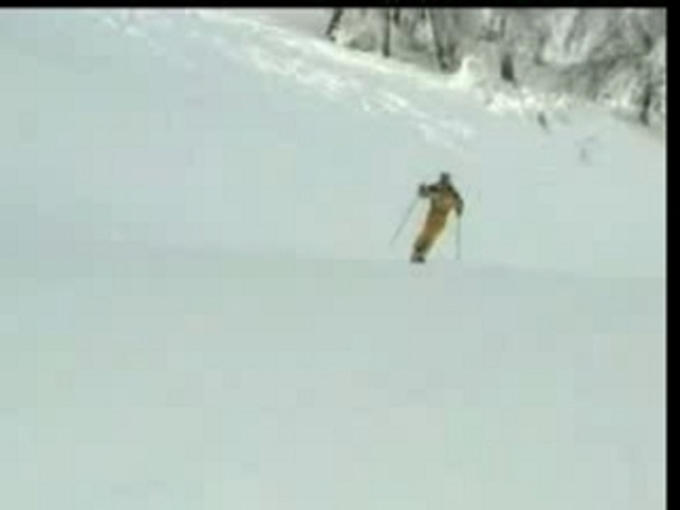 MonoSki