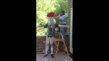 Stephen King Surprises Fans with ALS Ice Bucket Challenge 🌊