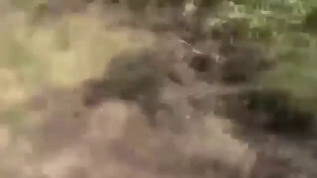 Ukraine War - Tanks pro-Russe capturés par l'armée Ukrainienne