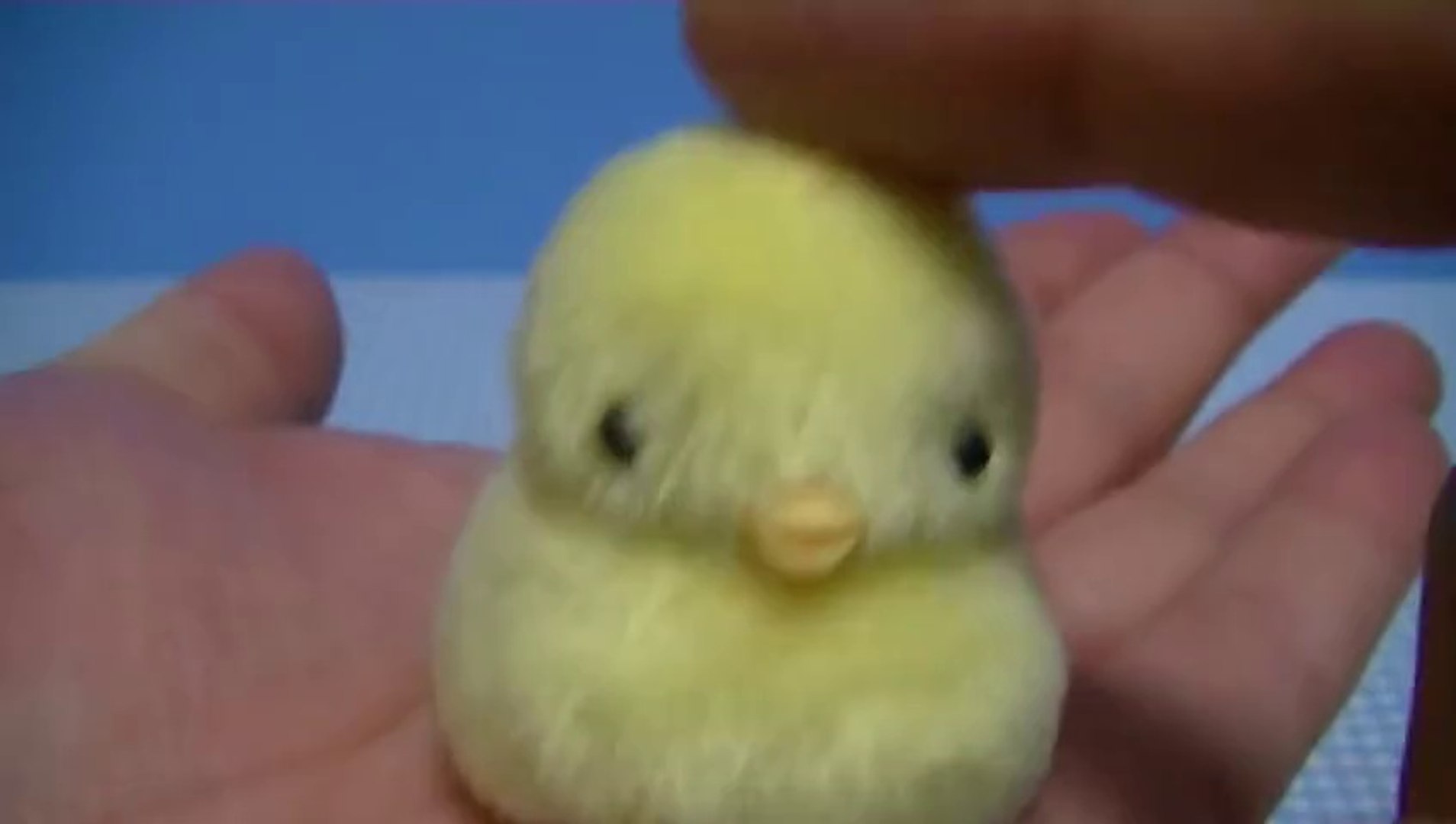 おもちゃ うたとも ゆびのりピピ たんぽぽっぴ Takara Tomy Video Dailymotion