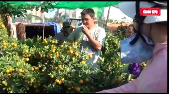 Chợ hoa -trên bến dưới thuyền- còn nhiều hàng trong ngày 29 tết