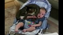 Cat Protects Baby